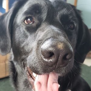 Meet your Posher, Destinee